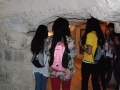 DSC_0449_(Copy)
