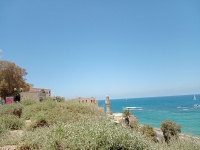 IMG_20220725_120419