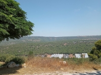 IMG_20220724_110752