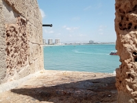 IMG_20220724_141717