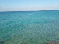 IMG_20220724_165034